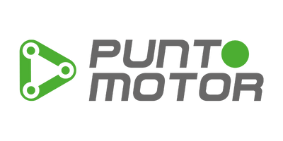 Punto Motor