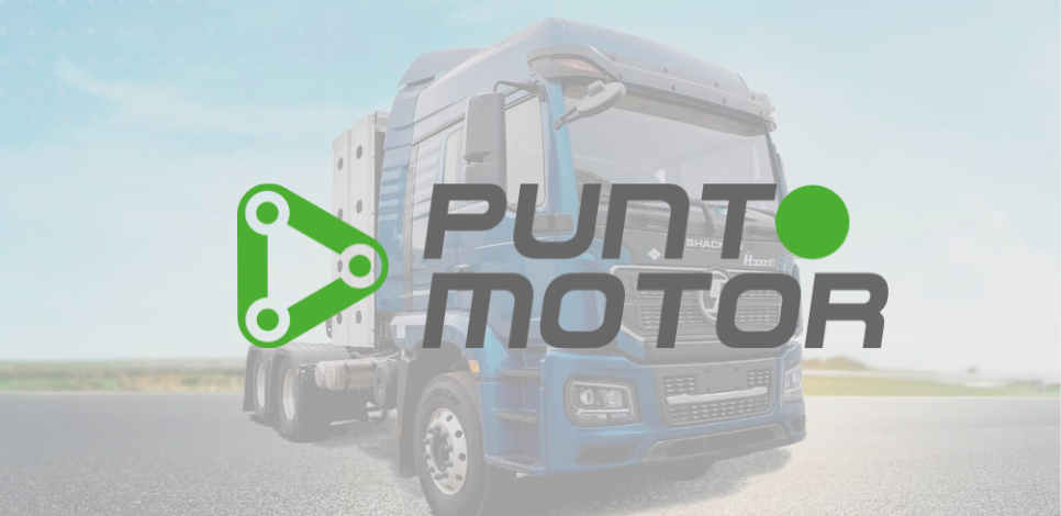 Punto Motor