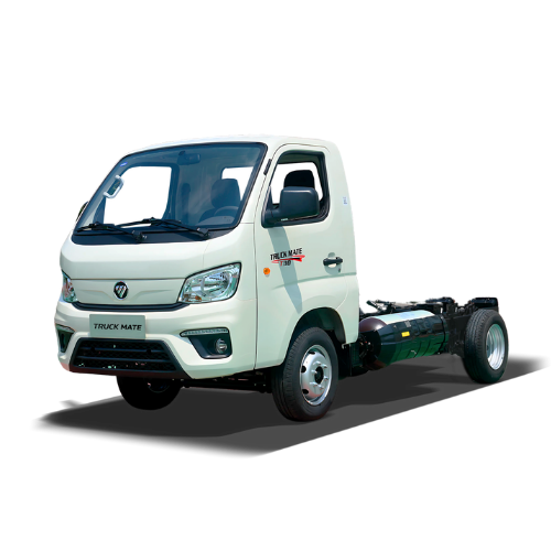 FOTON TM1 GNV